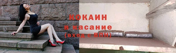 соль ск Абаза