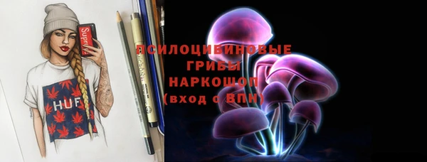 соль ск Абаза