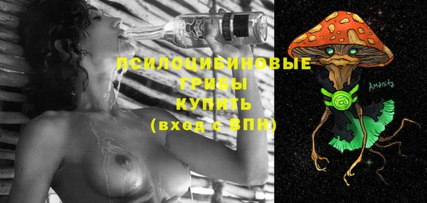 мяу мяу мука Абинск