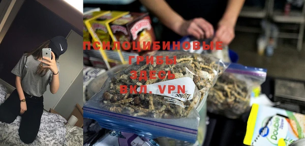 apvp Ростов