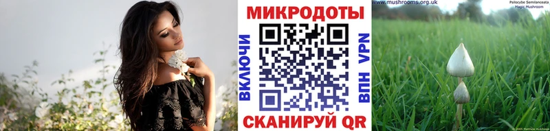 наркошоп Ясный Галлюциногенные грибы мицелий